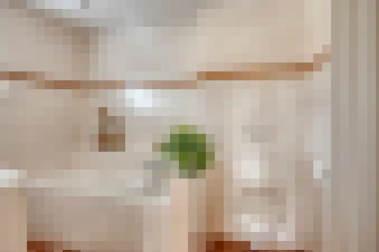 Pastoor Kisselsstraat 2 Ulestraten thumbnail 42
