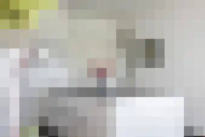 Pastoor Knippenberghstraat 24 Helden thumbnail 12