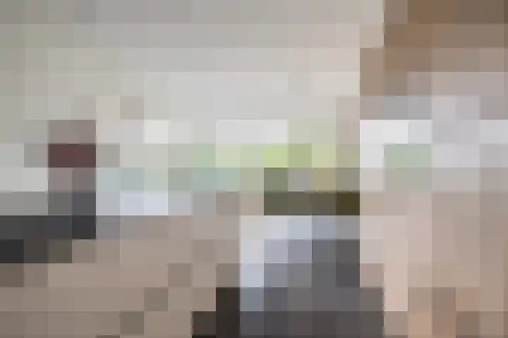 Pastoor Knippenberghstraat 24 Helden thumbnail 14
