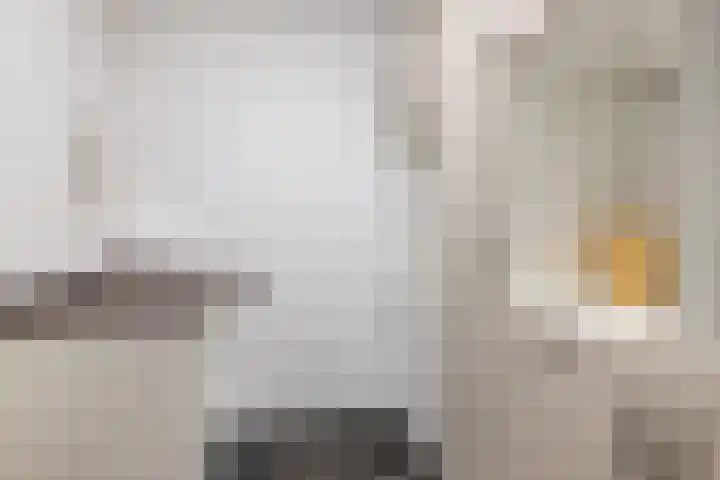 Pastoor Knippenberghstraat 24 Helden thumbnail 17