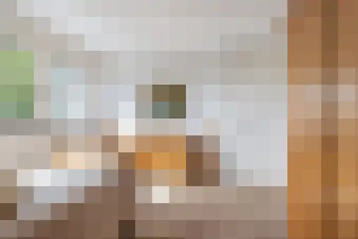 Pastoor Knippenberghstraat 24 Helden thumbnail 20