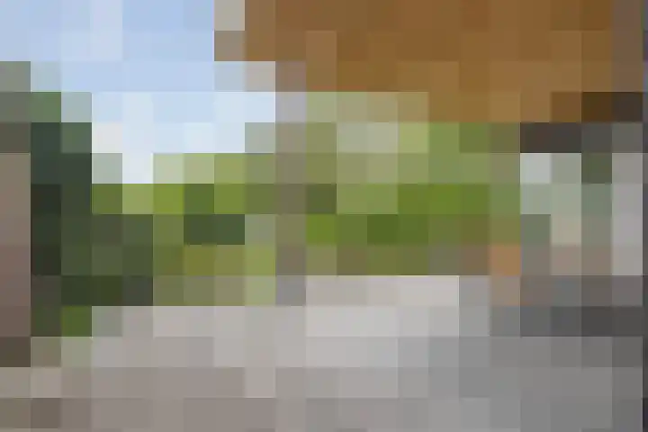 Pastoor Knippenberghstraat 24 Helden thumbnail 28