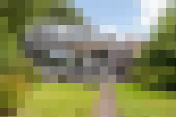 Pastoor Knippenberghstraat 24 Helden thumbnail 30