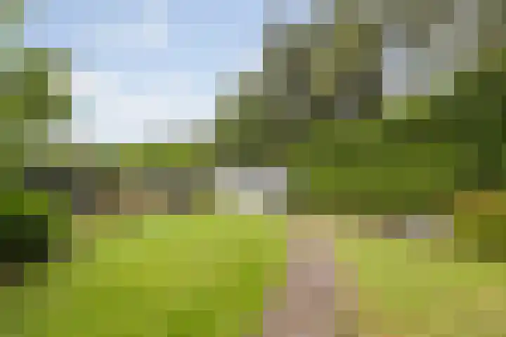 Pastoor Knippenberghstraat 24 Helden thumbnail 31
