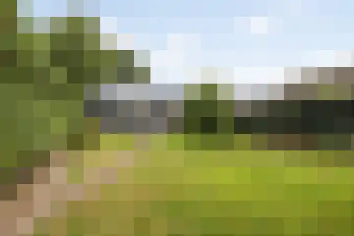 Pastoor Knippenberghstraat 24 Helden thumbnail 32