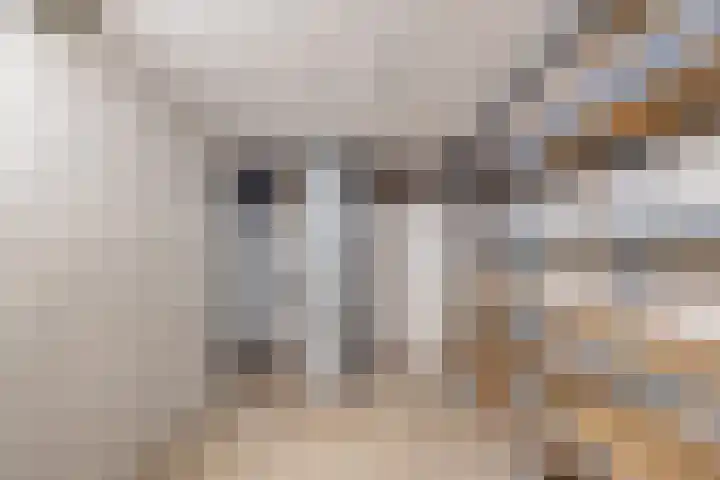 Pastoor Knippenberghstraat 24 Helden thumbnail 34