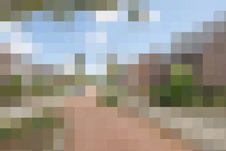 Pastoor Knippenberghstraat 24 Helden thumbnail 36