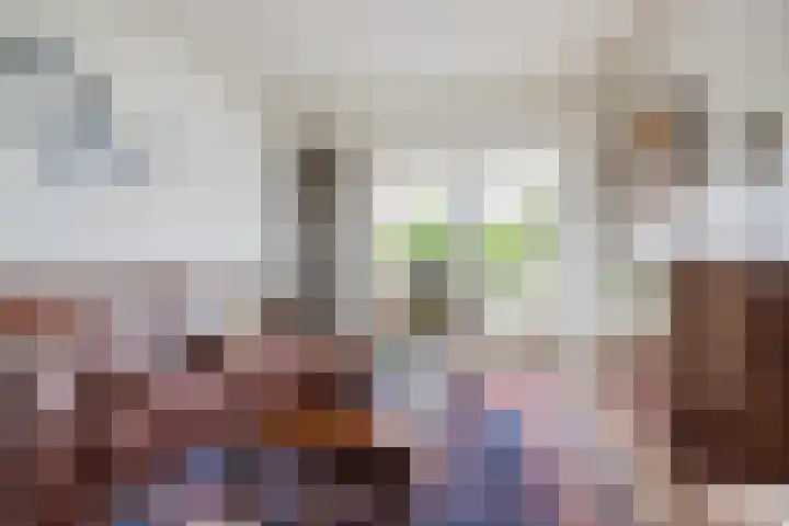 Pastoor Knippenberghstraat 24 Helden thumbnail 4