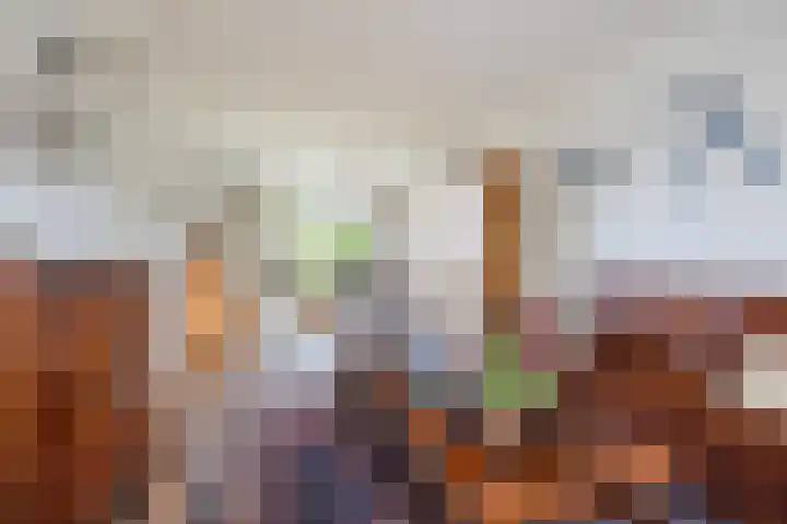 Pastoor Knippenberghstraat 24 Helden thumbnail 5