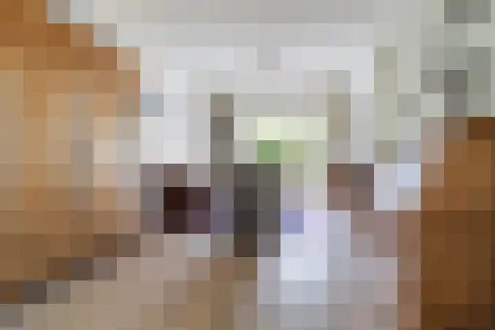Pastoor Knippenberghstraat 24 Helden thumbnail 6
