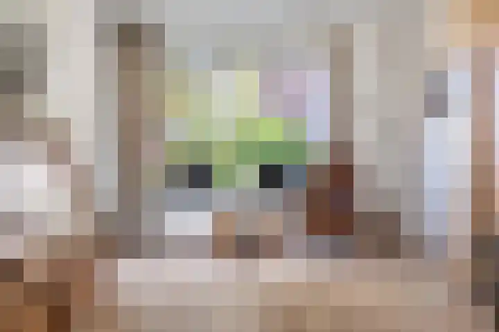 Pastoor Knippenberghstraat 24 Helden thumbnail 7