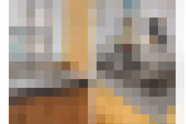 Pastoor Knippenberghstraat 64 Helden thumbnail 15