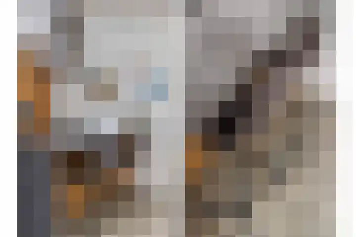 Pastoor Knippenberghstraat 64 Helden thumbnail 17