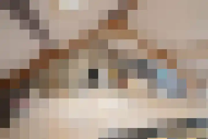 Pastoor Knippenberghstraat 64 Helden thumbnail 29