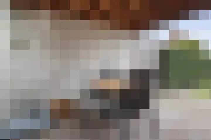 Pastoor Knippenberghstraat 64 Helden thumbnail 33