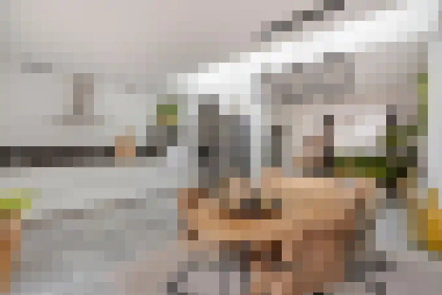 Pastoor Knippenberghstraat 74 Helden thumbnail 15