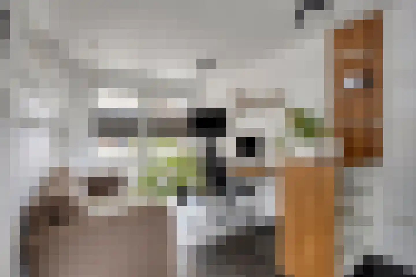 Pastoor Knippenberghstraat 74 Helden thumbnail 19