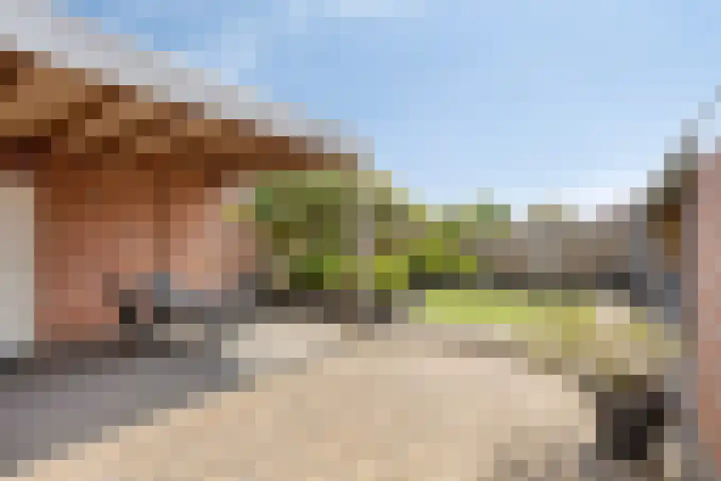 Pastoor Knippenberghstraat 74 Helden thumbnail 32