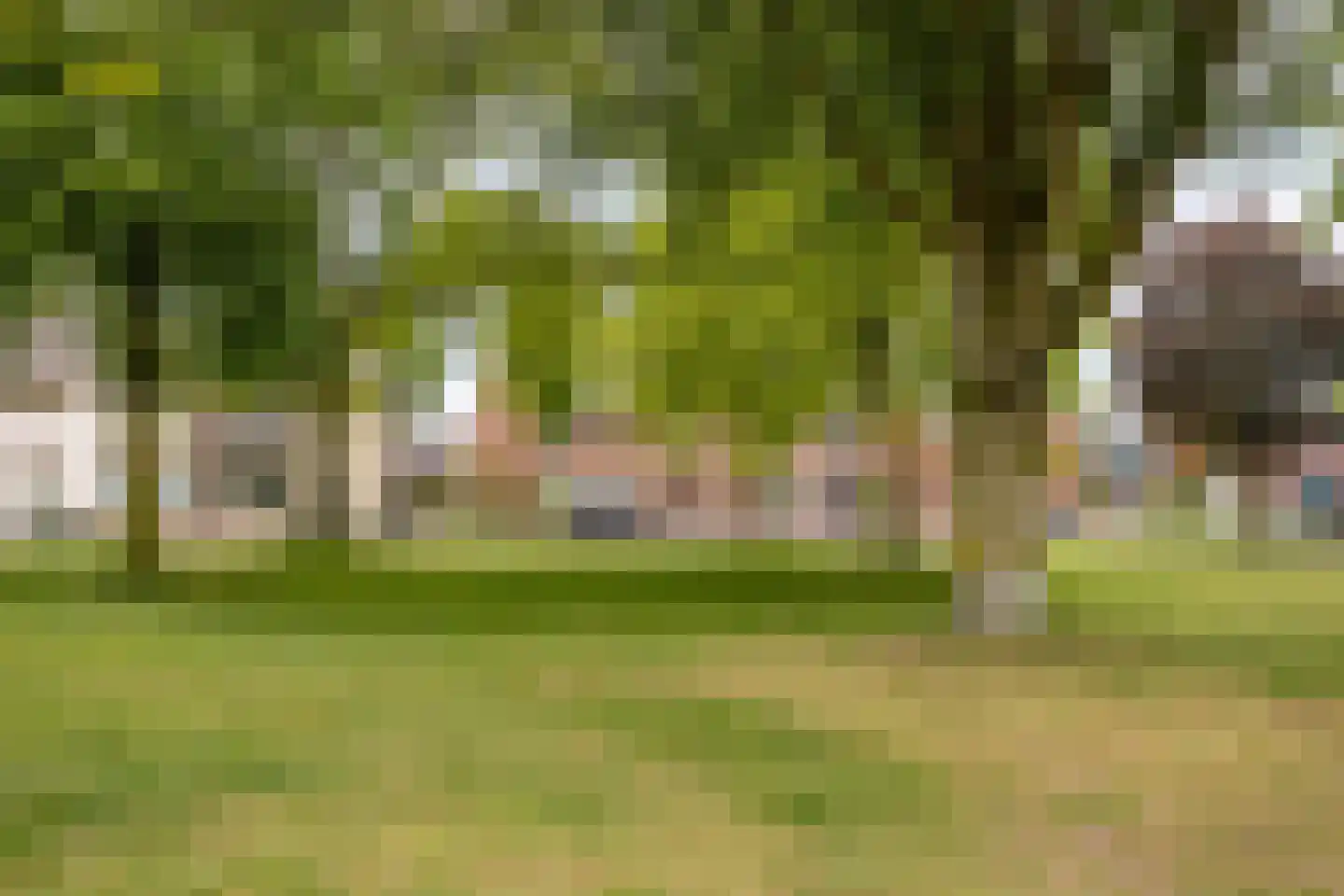 Pastoor Knippenberghstraat 74 Helden thumbnail 39