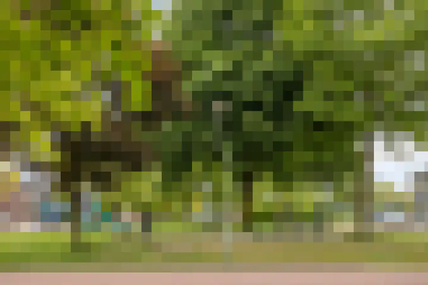 Pastoor Knippenberghstraat 74 Helden thumbnail 40