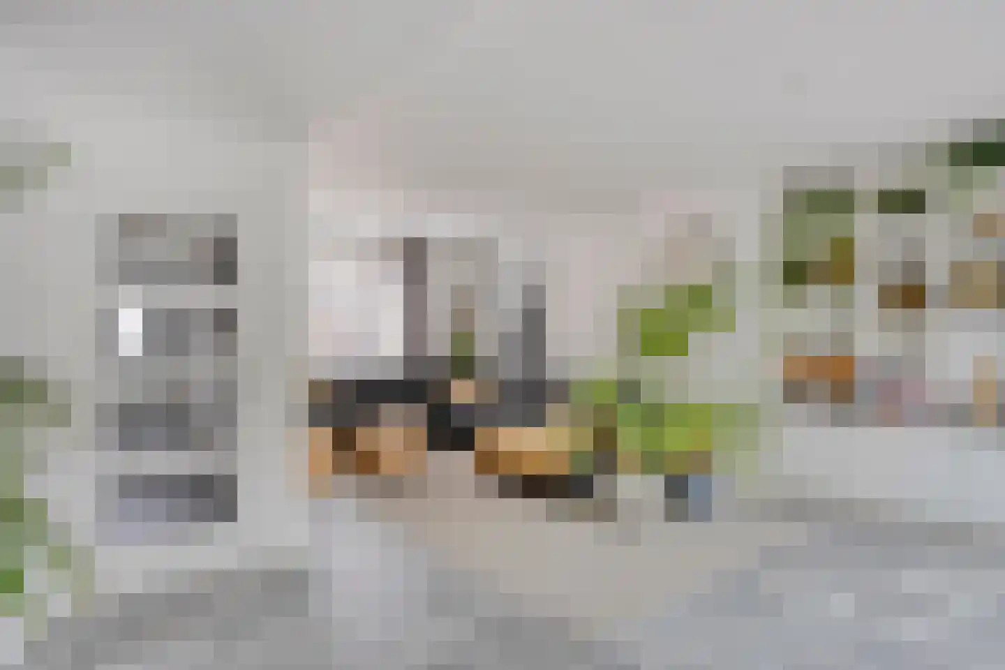 Pastoor Knippenberghstraat 74 Helden thumbnail 8