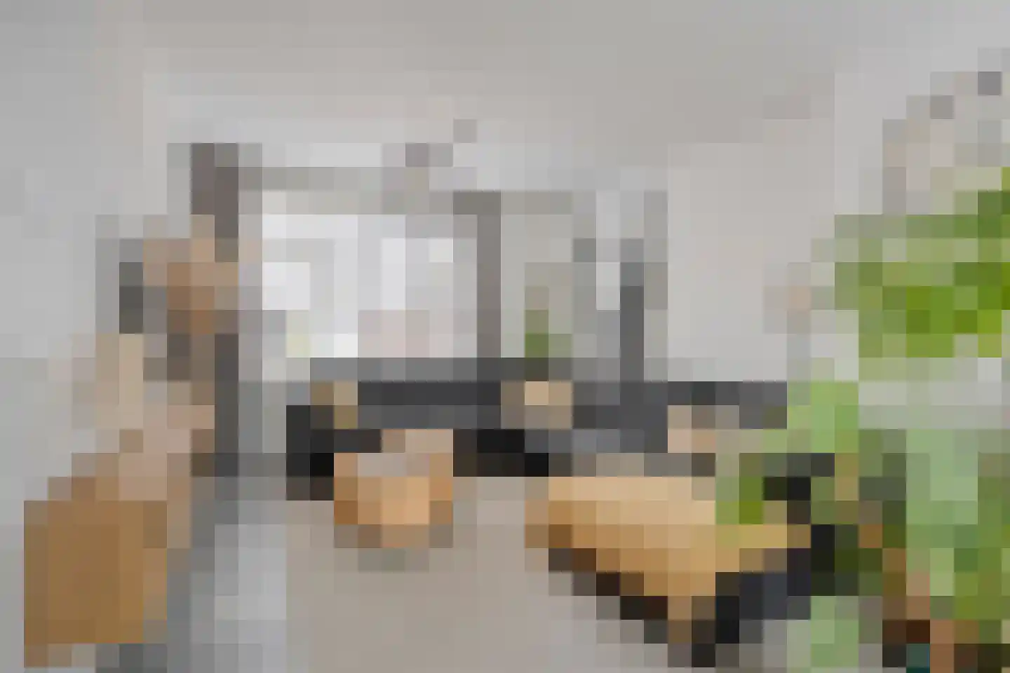 Pastoor Knippenberghstraat 74 Helden thumbnail 9