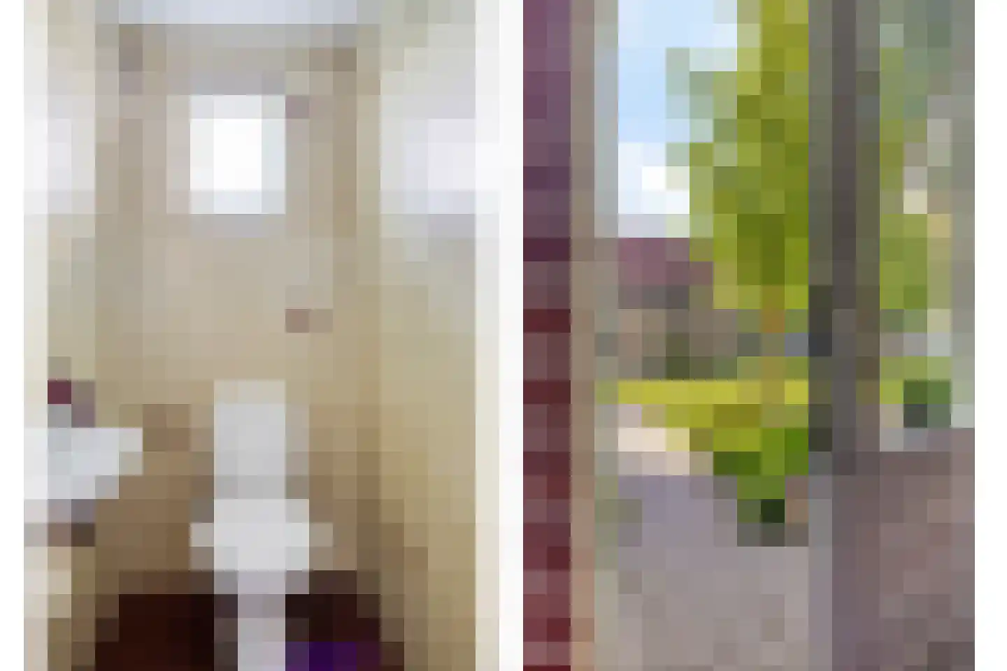 Pastoor Knuifstraat 5 Denekamp thumbnail 15