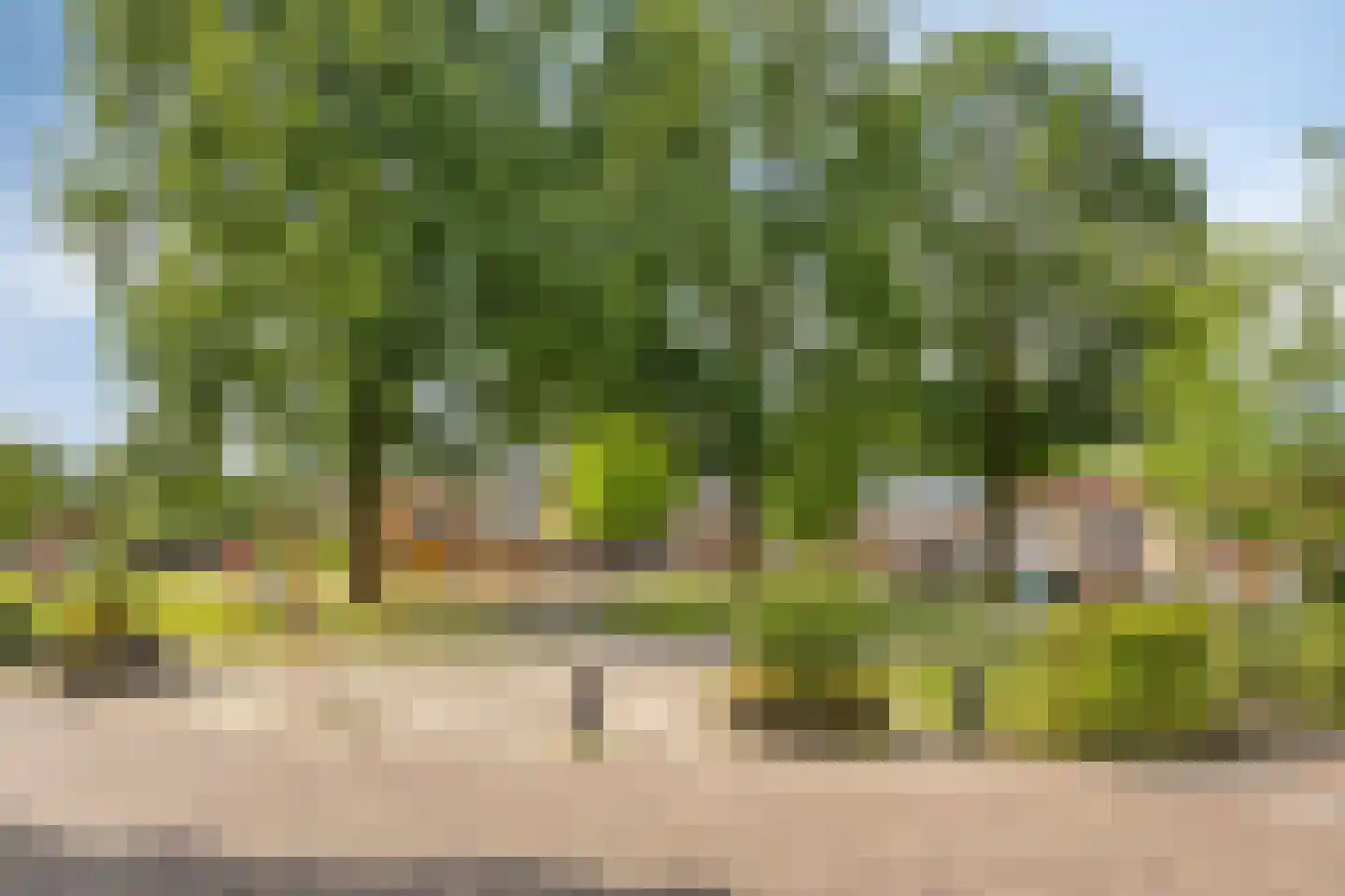 Pastoor Knuifstraat 5 Denekamp thumbnail 35