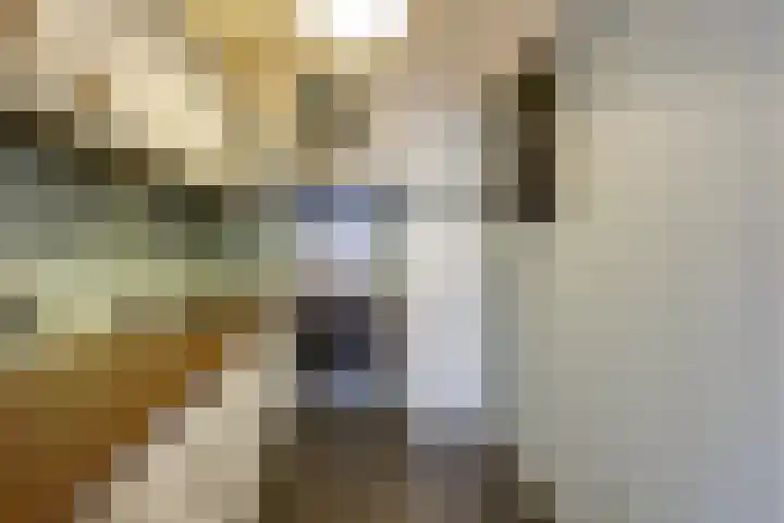 Pastoor Koenestraat 27 Velp thumbnail 13