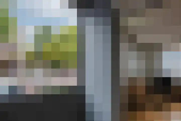Pastoor Koenestraat 27 Velp thumbnail 4