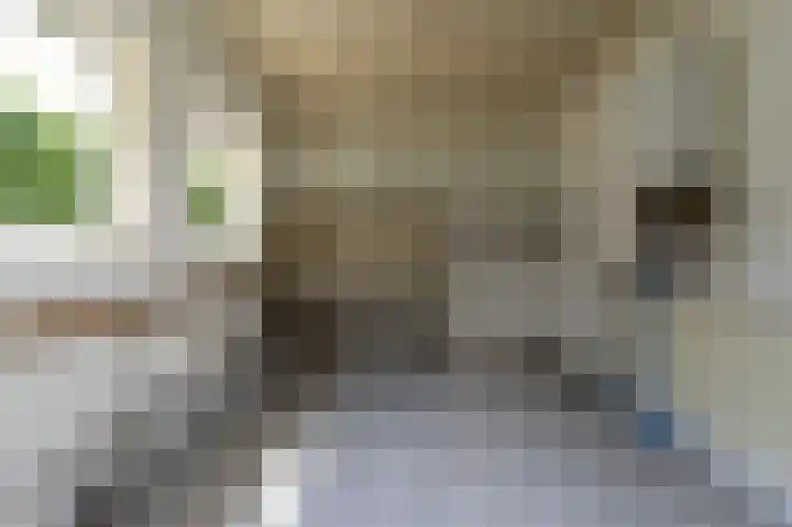 Pastoor Konijnstraat 33 Hoogkarspel thumbnail 5