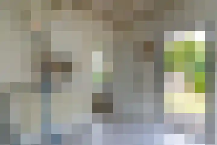 Pastoor Konijnstraat 33 Hoogkarspel thumbnail 6