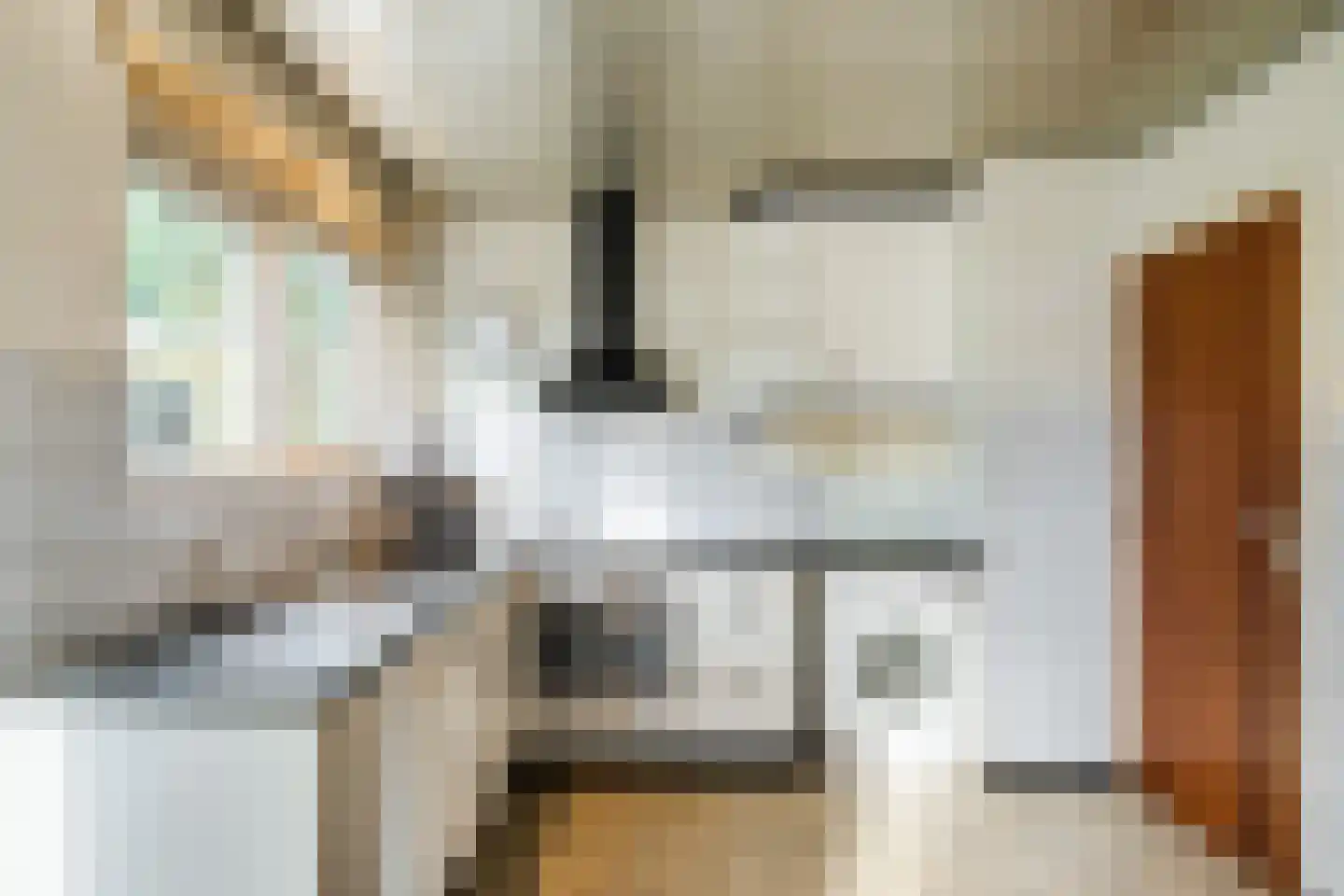 Pastoor Konijnstraat 38 Hoogkarspel thumbnail 17