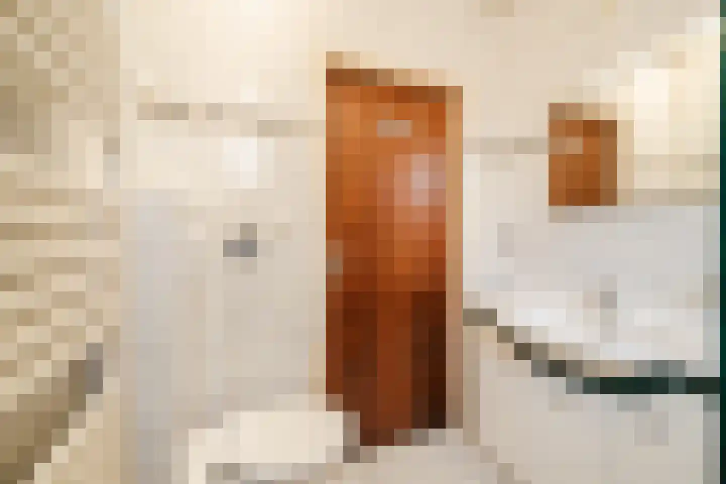 Pastoor Konijnstraat 38 Hoogkarspel thumbnail 26