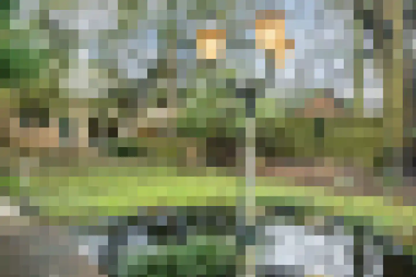 Pastoor Konijnstraat 38 Hoogkarspel thumbnail 4