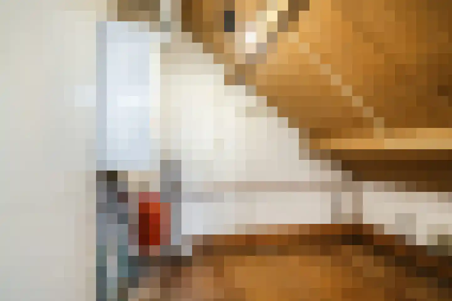 Pastoor Konijnstraat 38 Hoogkarspel thumbnail 44