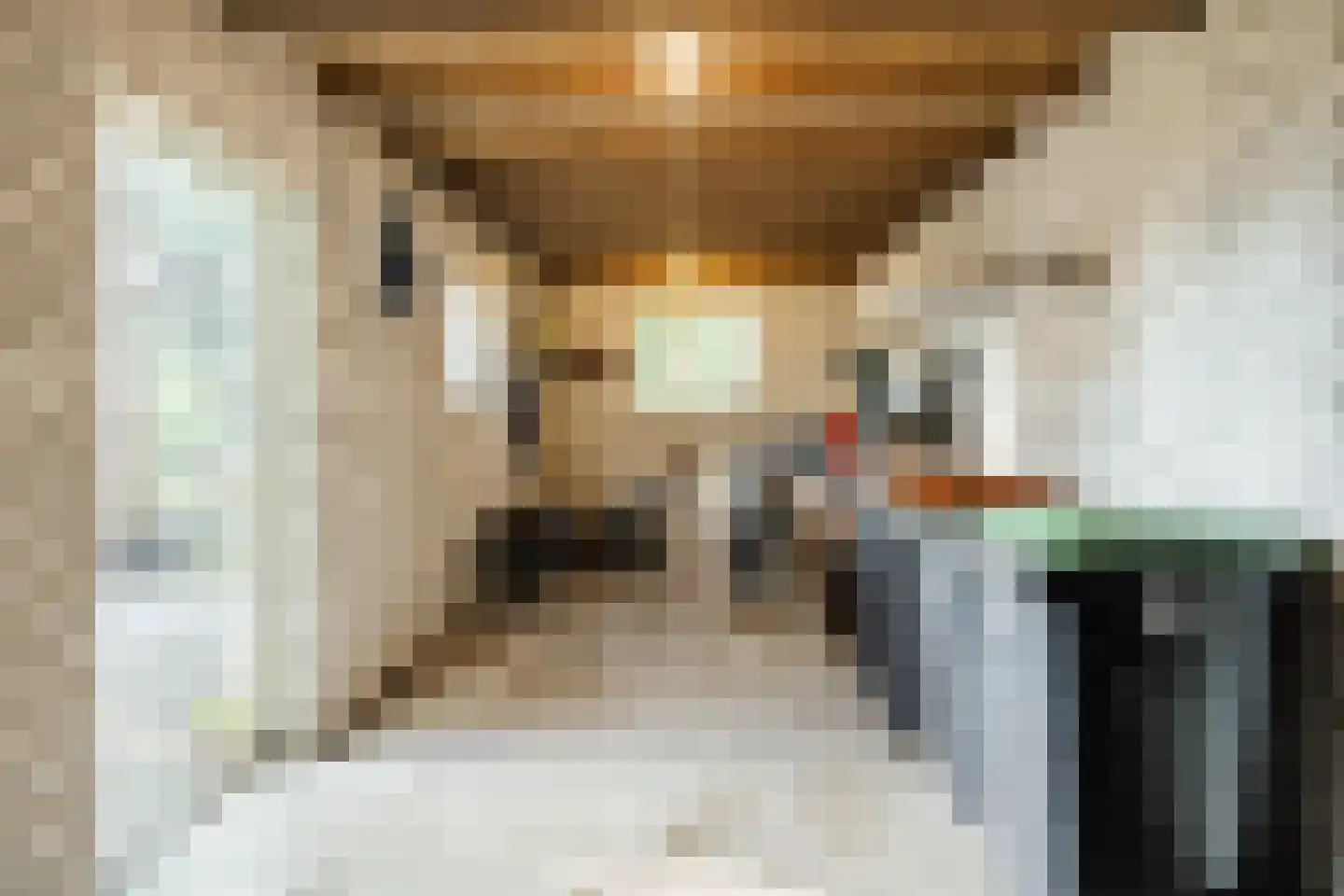 Pastoor Konijnstraat 38 Hoogkarspel thumbnail 46