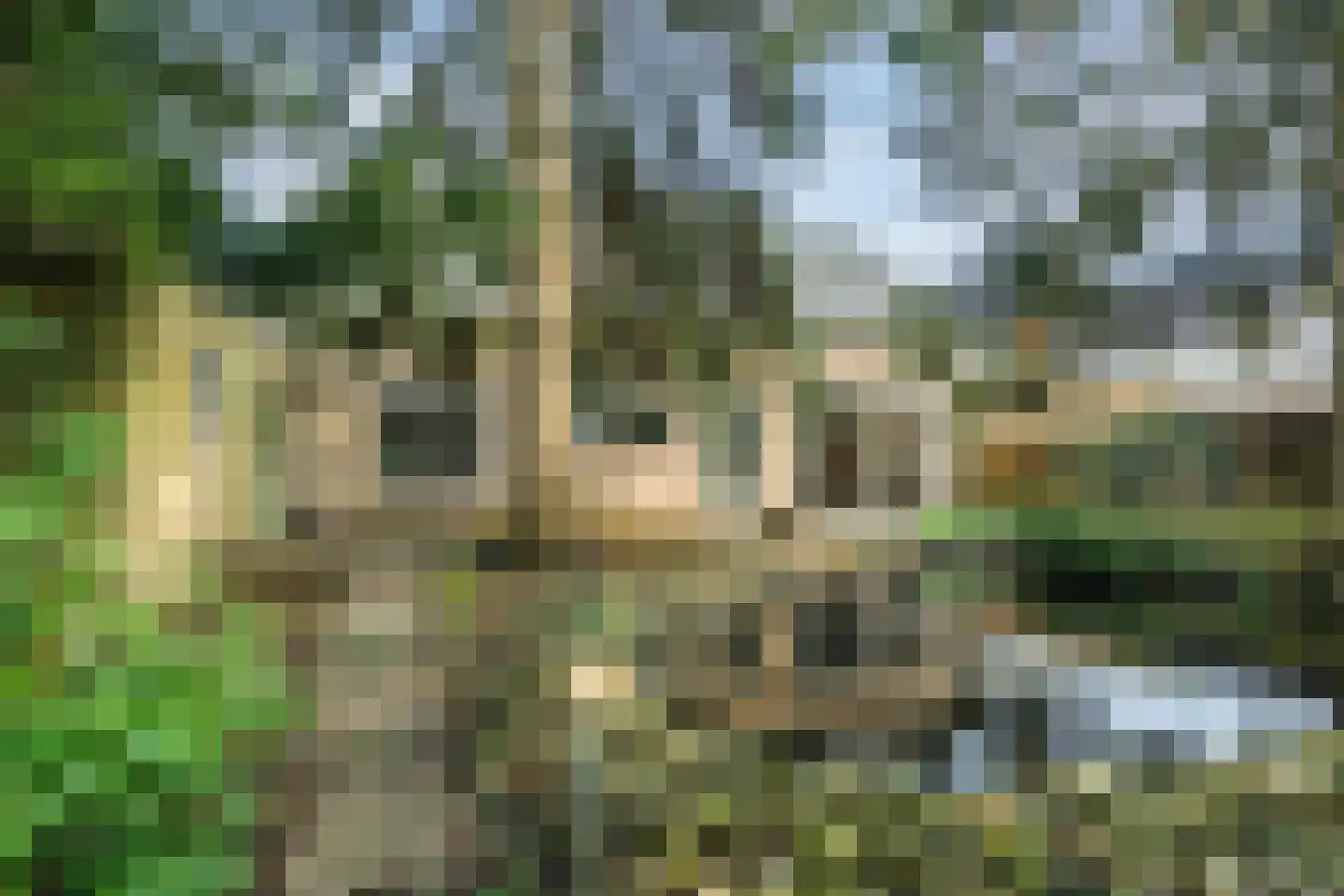 Pastoor Konijnstraat 38 Hoogkarspel thumbnail 57