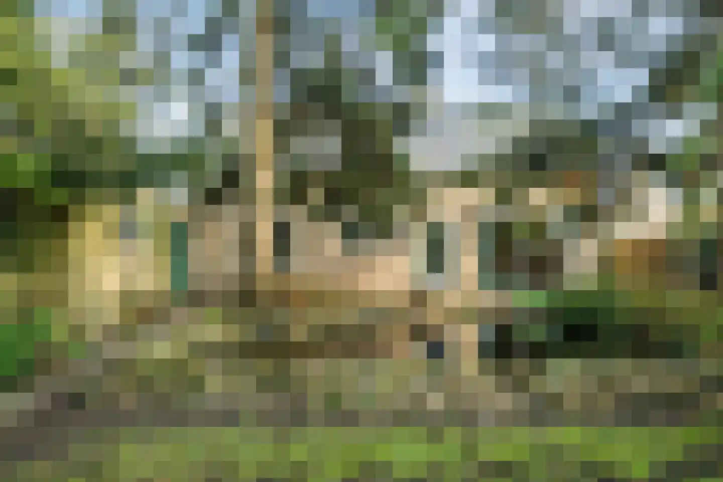 Pastoor Konijnstraat 38 Hoogkarspel thumbnail 58