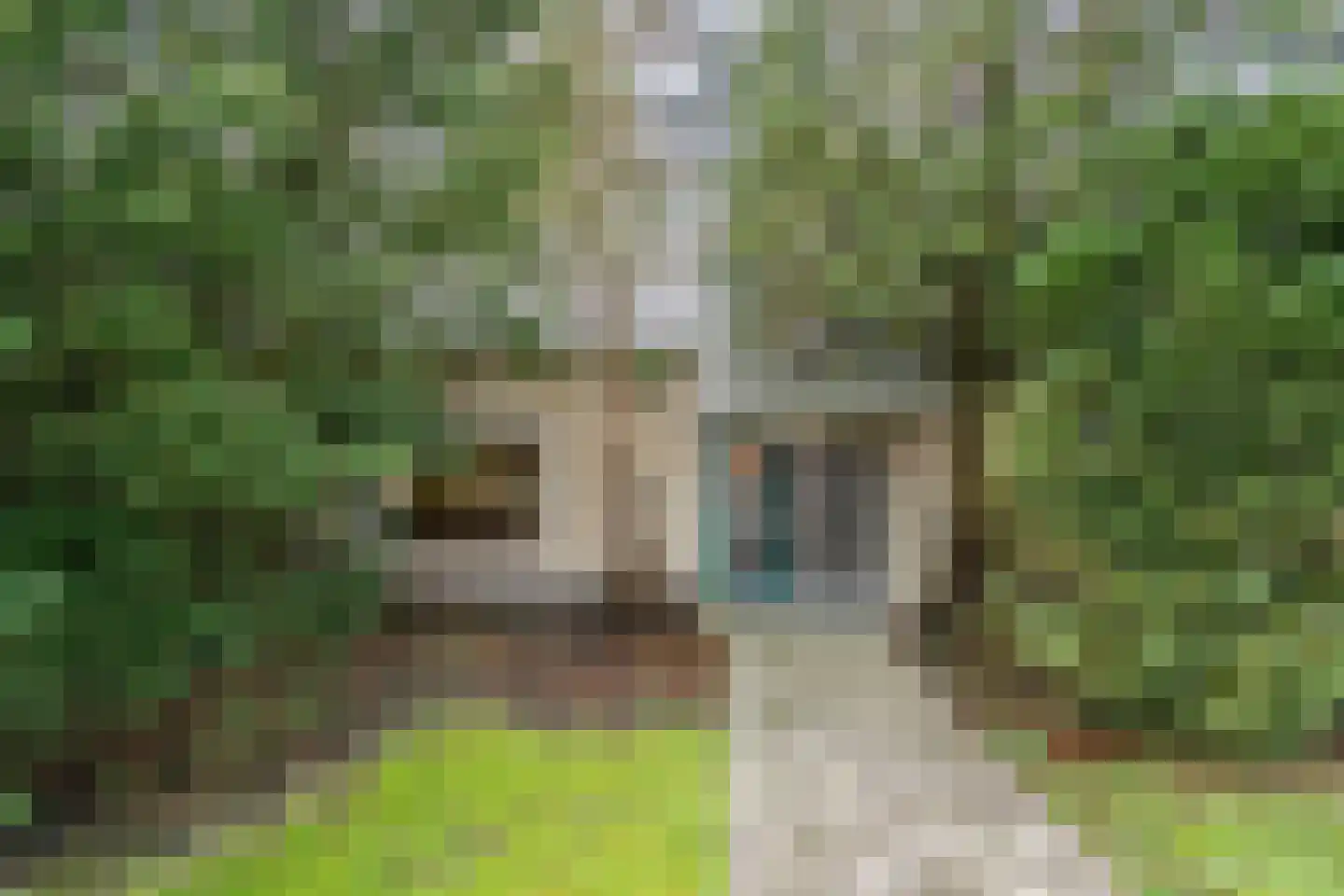 Pastoor Konijnstraat 38 Hoogkarspel thumbnail 6