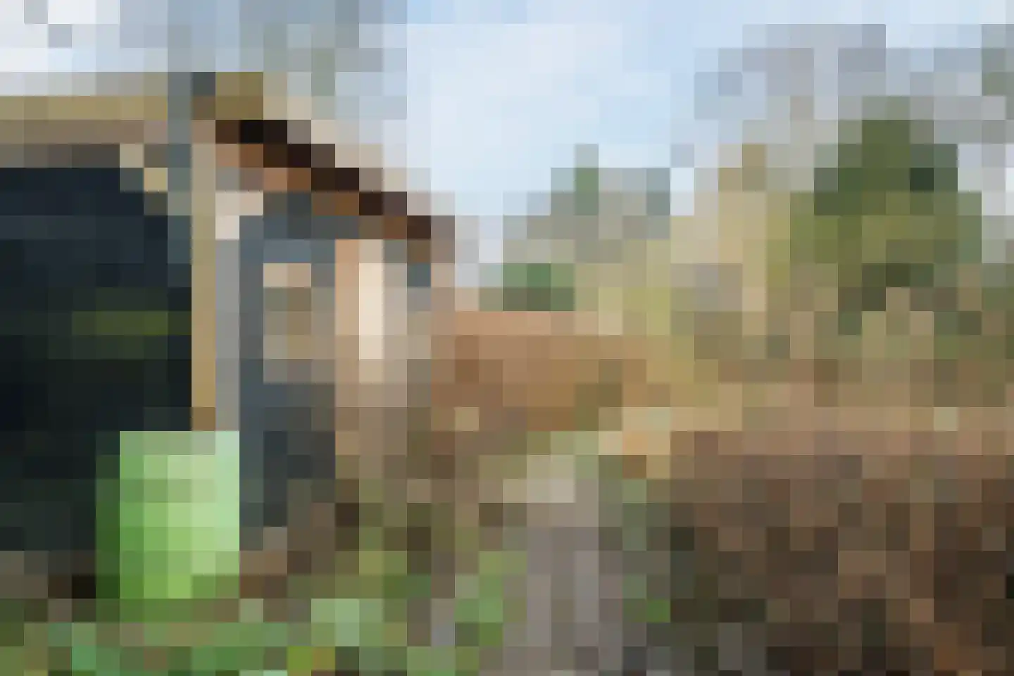Pastoor Konijnstraat 38 Hoogkarspel thumbnail 62