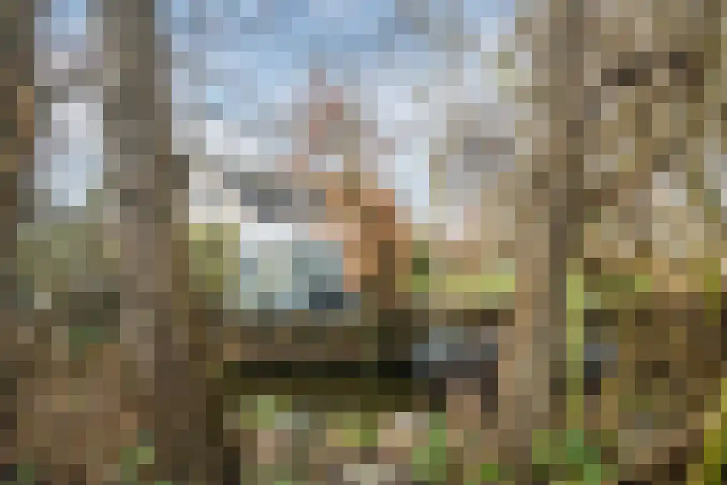 Pastoor Konijnstraat 38 Hoogkarspel thumbnail 63