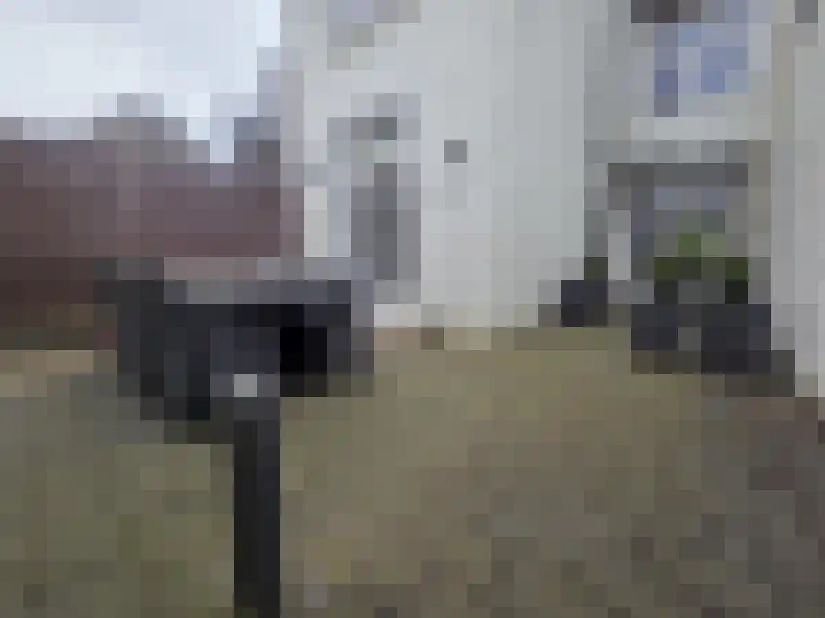 Pastoor Kribsweg 24 Maastricht thumbnail 4