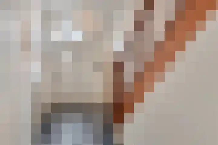 Pastoor Kribsweg 7 Maastricht thumbnail 10