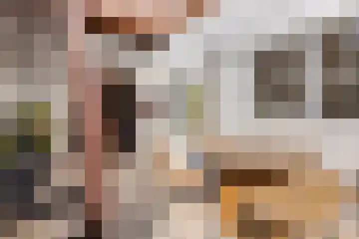Pastoor Kribsweg 7 Maastricht thumbnail 26