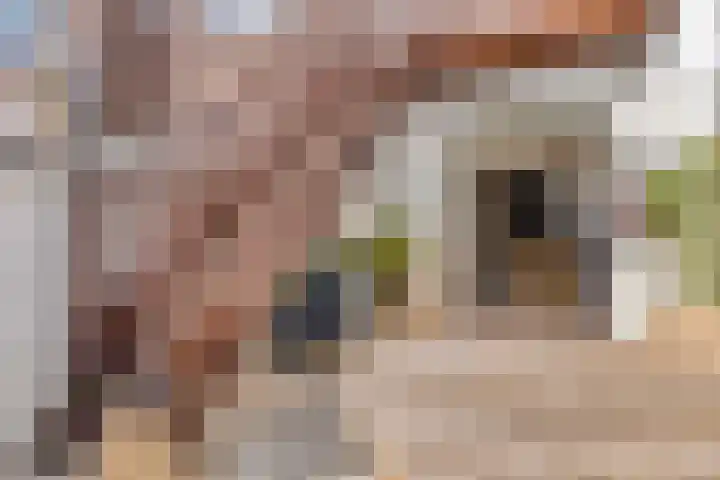 Pastoor Kribsweg 7 Maastricht thumbnail 27