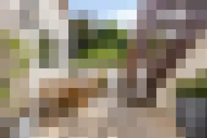 Pastoor Kribsweg 7 Maastricht thumbnail 28