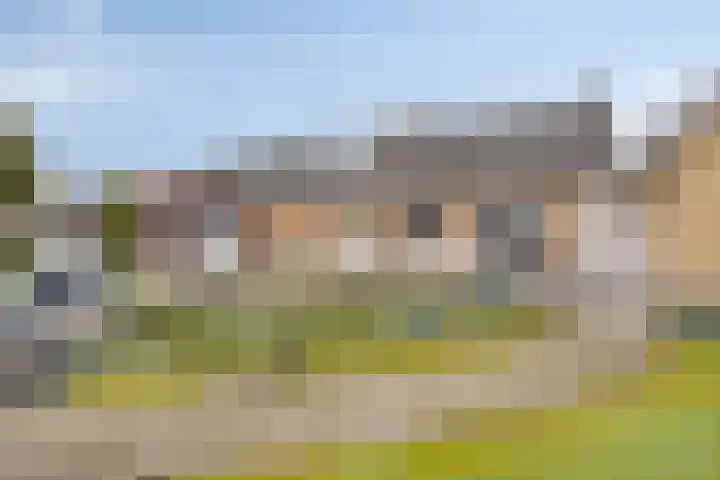 Pastoor Kuijpersstraat 3 Bergen op Zoom thumbnail 38