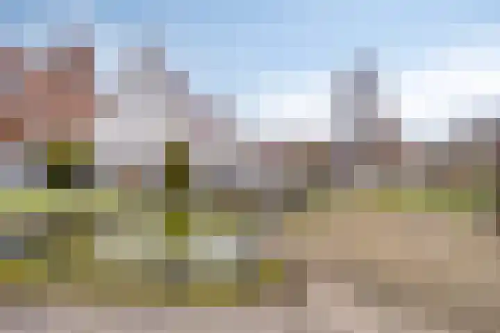 Pastoor Kuijpersstraat 3 Bergen op Zoom thumbnail 39