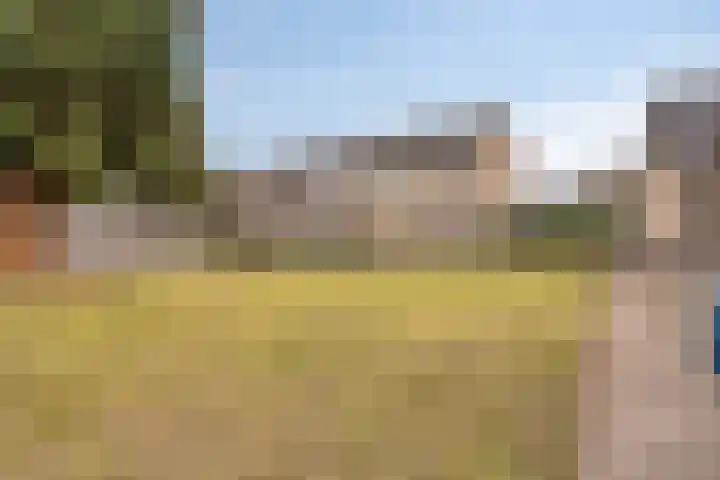 Pastoor Kuijpersstraat 3 Bergen op Zoom thumbnail 43